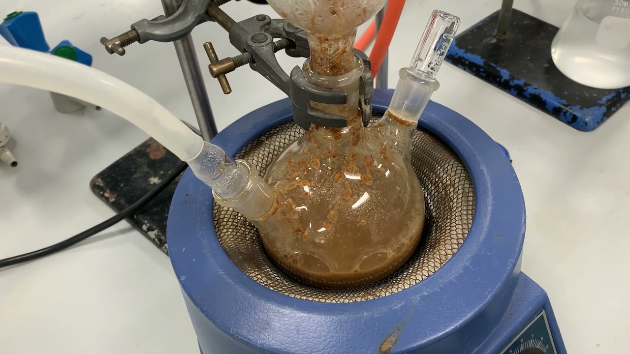 Steam Distillation of Caraway Seeds - Undergraduate Teaching Lab Experiment