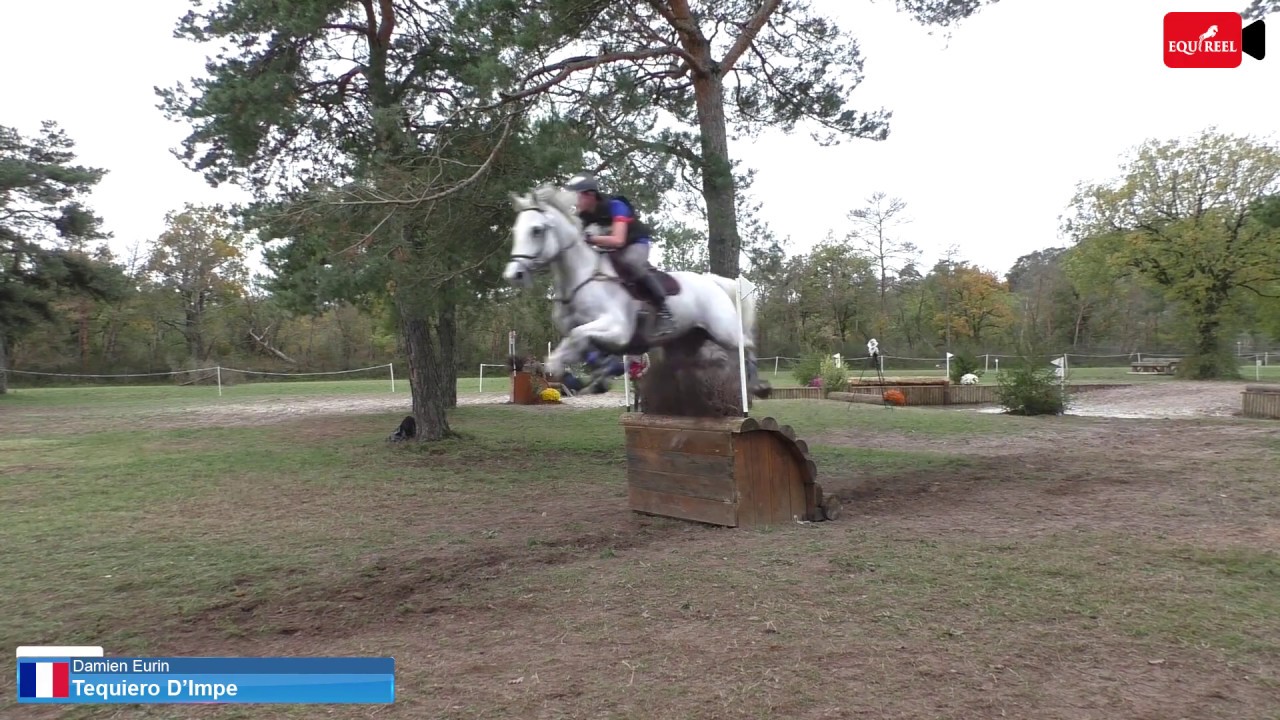 Vidéo cross championnat de France CCE amateur 1 jeunes Fontainebleau 2 novembre 2019
