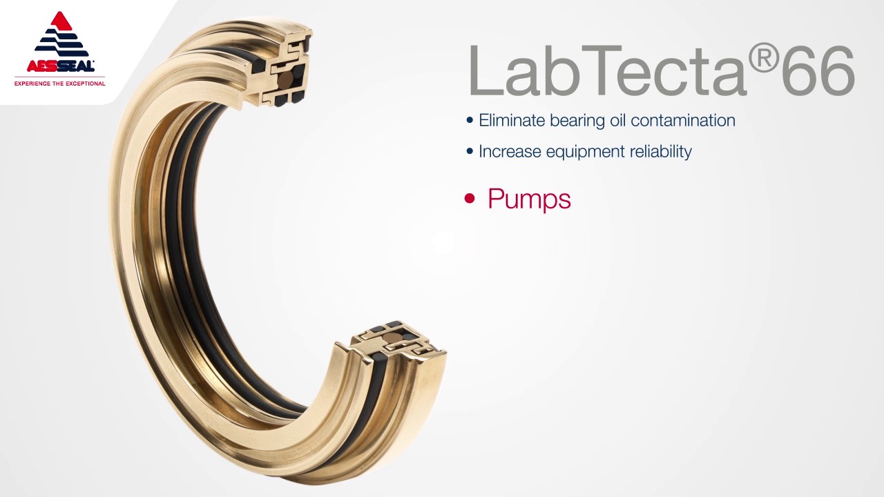 LABTECTA 66 Labyrinth Bearing Protection Seal