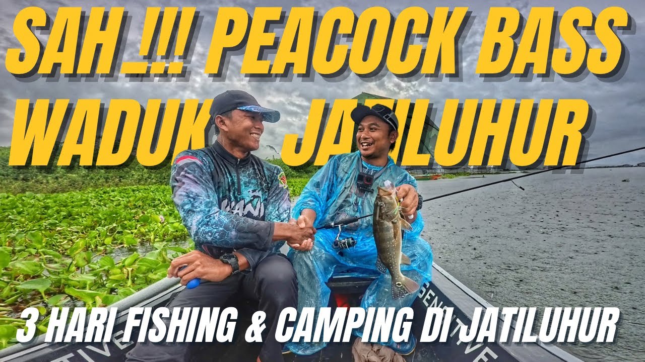 HUJAN BADAI TETAP NEKAT MANCING DEMI STRIKE IKAN ASLI AMAZON INI‼️ PEACOCK BASS WADUK JATILUHUR‼️