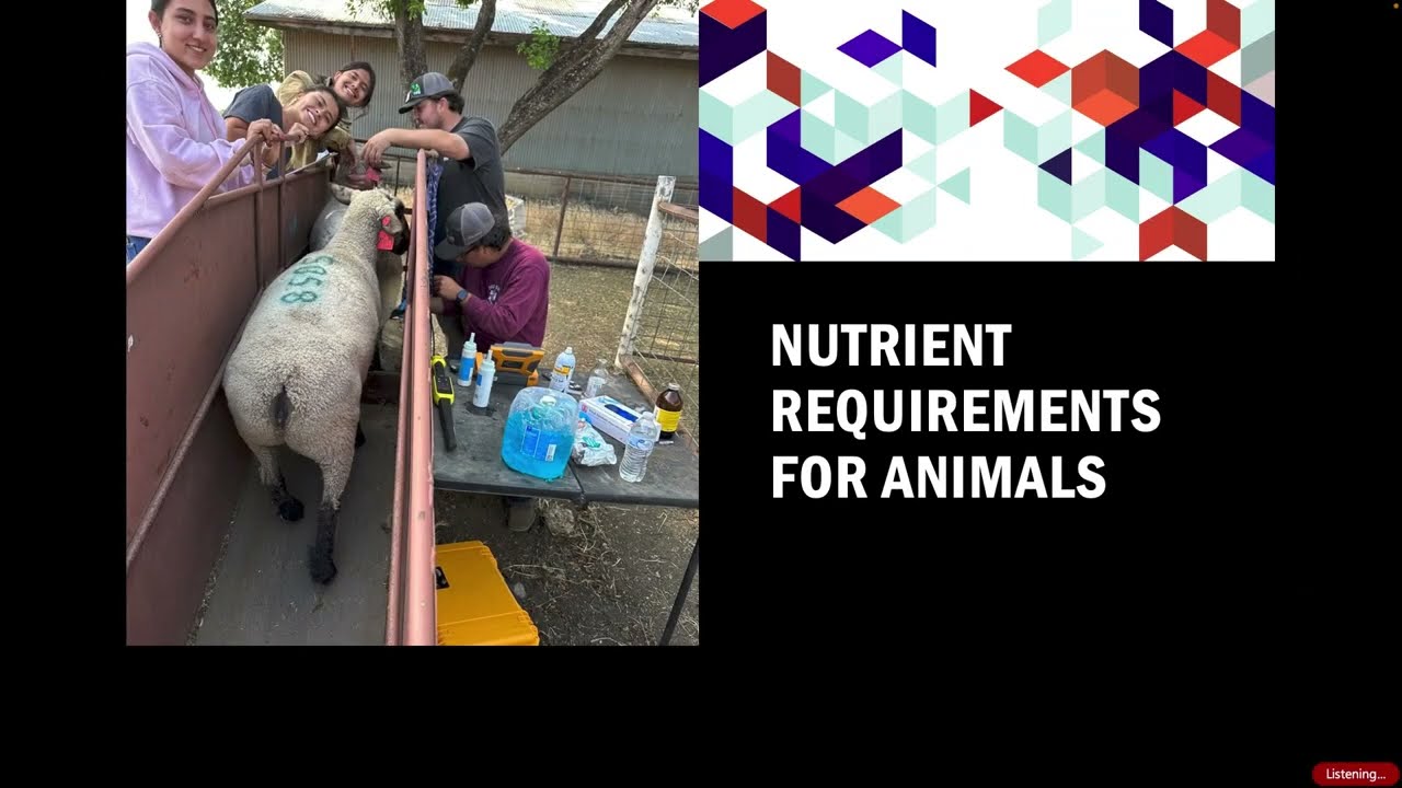 Nutrient Requirements for Livestock: Maintenance