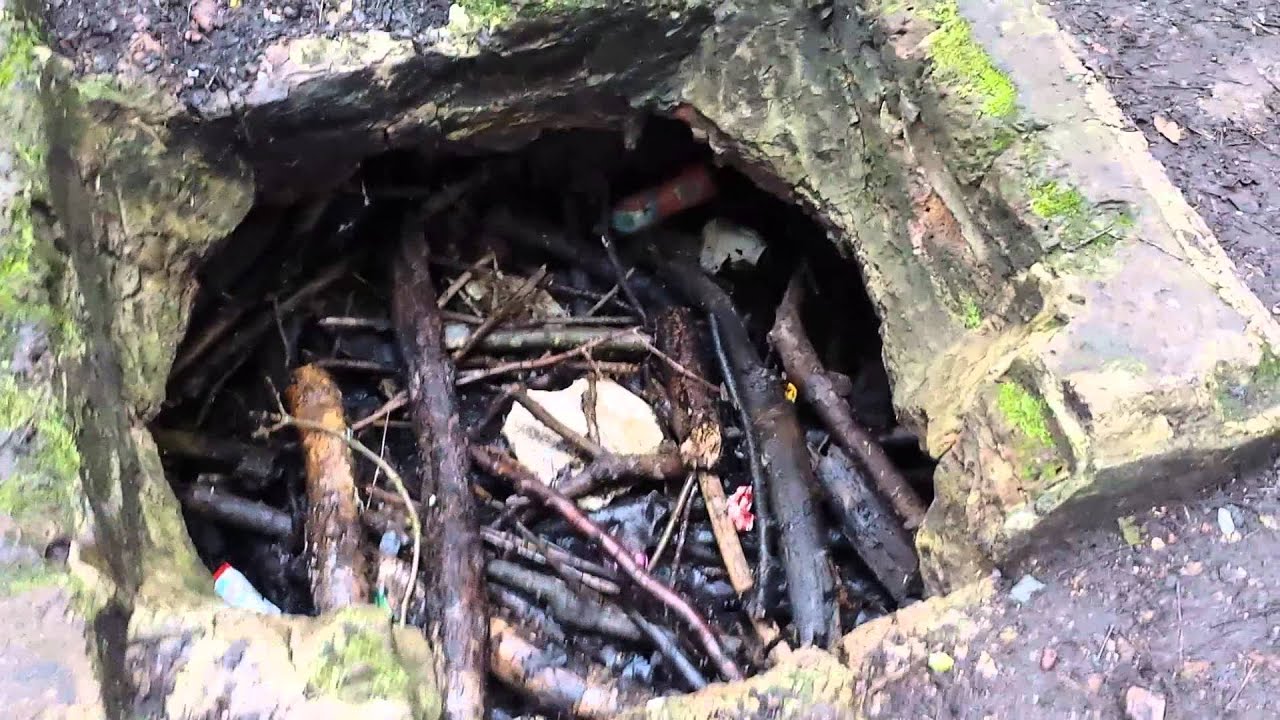 Vange well, Martinhall wood