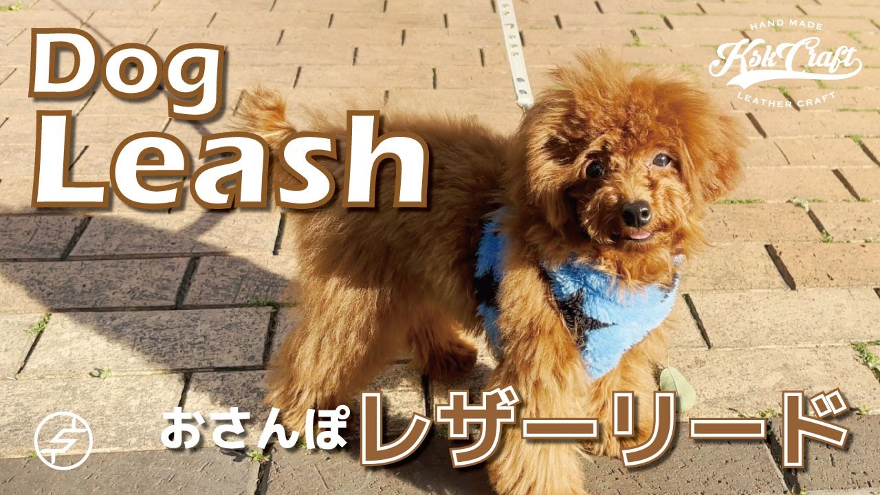 【レザークラフト】レザードッグリード　はじめてのおさんぽ♪