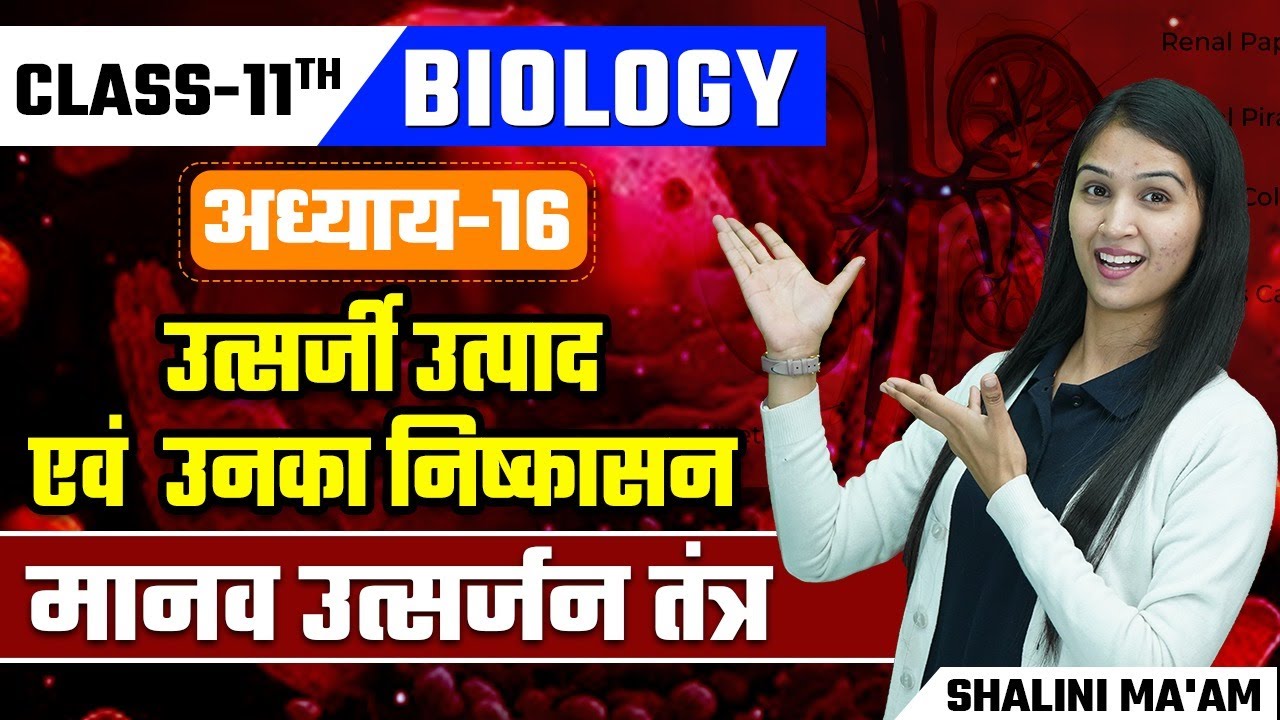 Class 11th Biology मानव उत्सर्जन तंत्र | L-1 Chapter 16 उत्सर्जी उत्पाद एवं  उनका निष्कासन