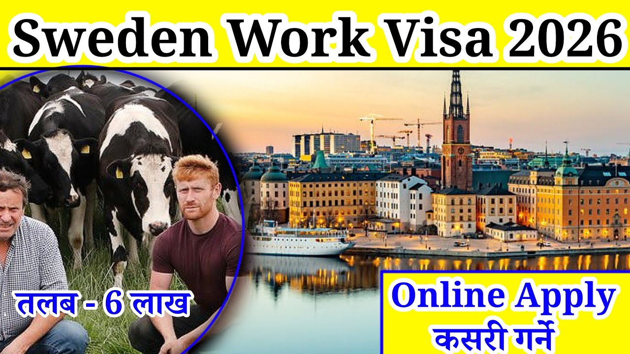 Sweden Working Visa from Nepal | Sweden work visa | working visa 2026 | sweden Europe Work Visa 2026