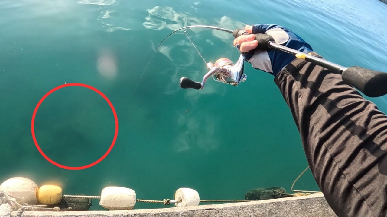 宮古島でミーバイが釣れるのはこんなところだった【ライトゲーム】