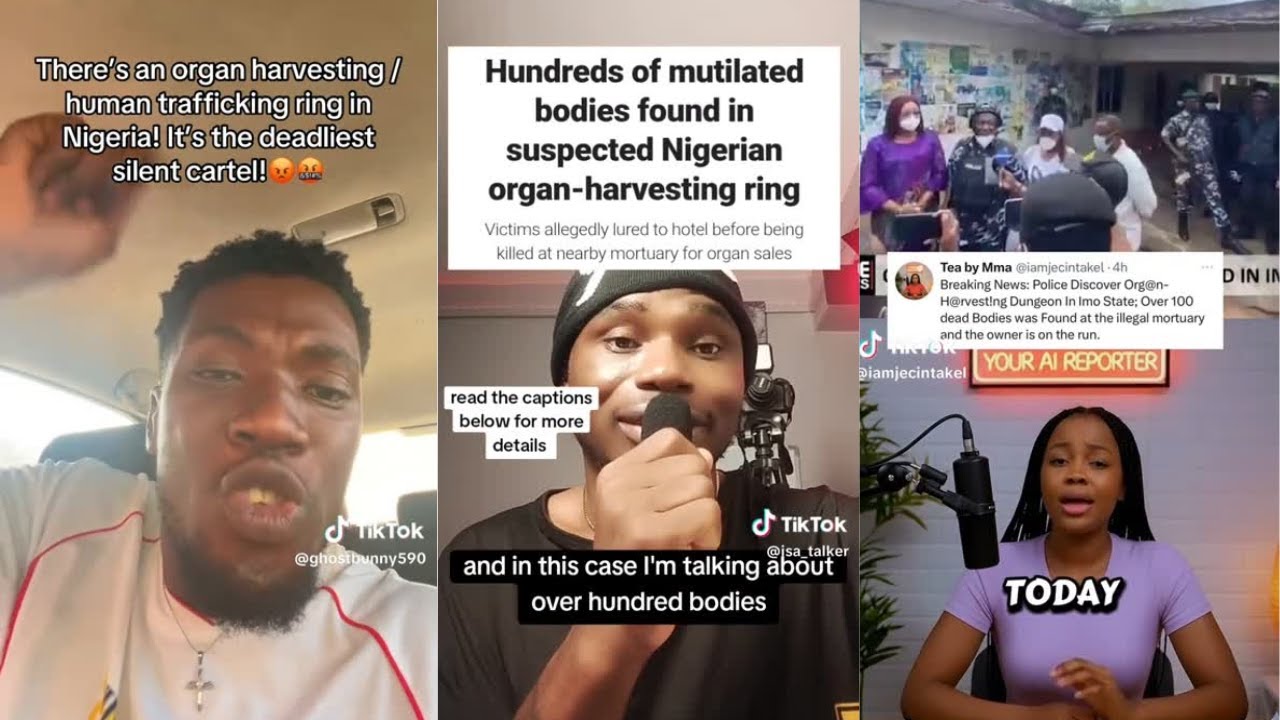 Shocking Reports: Nigerian Organ Harvesting Ring Exposed — A Real-Life Horror Story