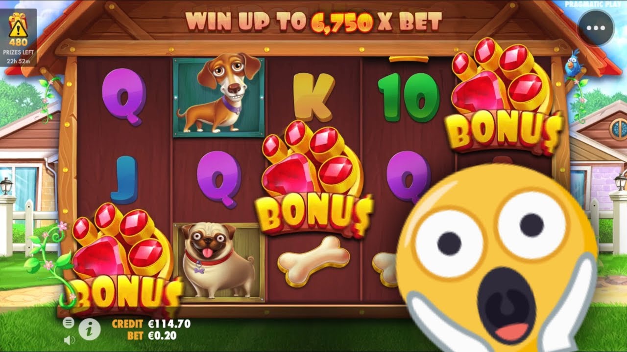 The Dog House - 👍 Best big win & free spin of 