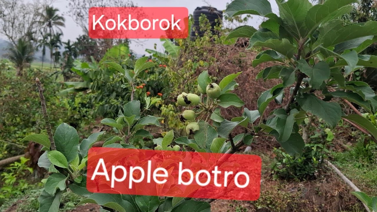 13 марта 2026 г.