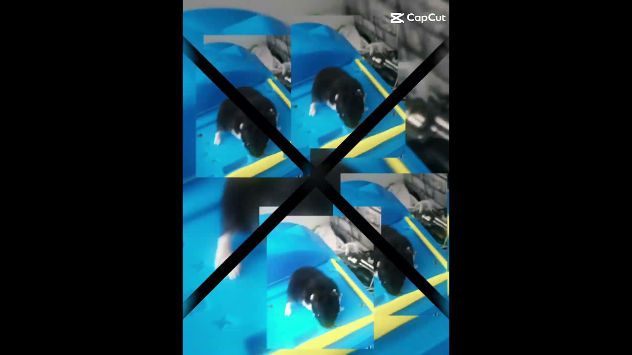 #avion