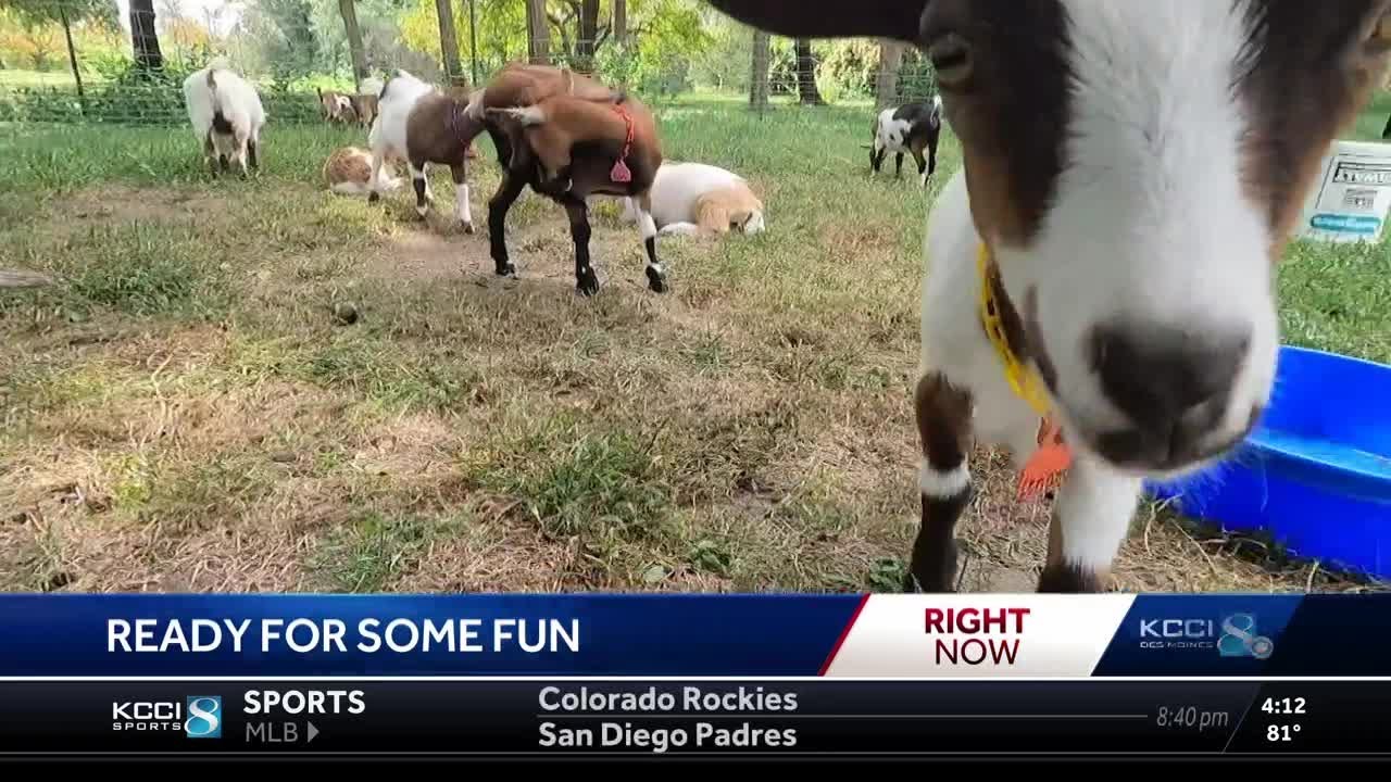 Families take to central Iowa orchards as fall approaches