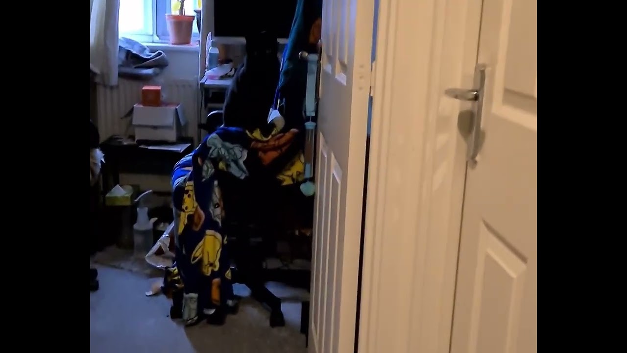 Cats are confused by toy with treats in it