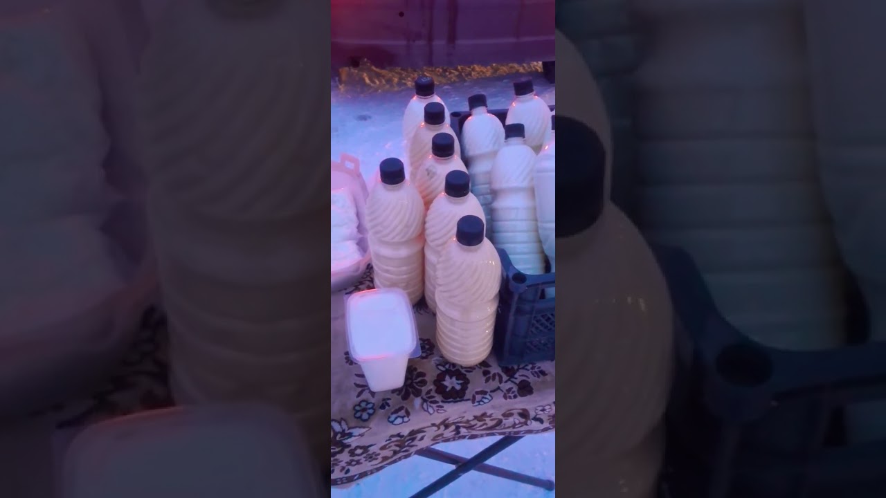 ДЕНЬ ПРОЖИТ НЕ ЗРЯ.