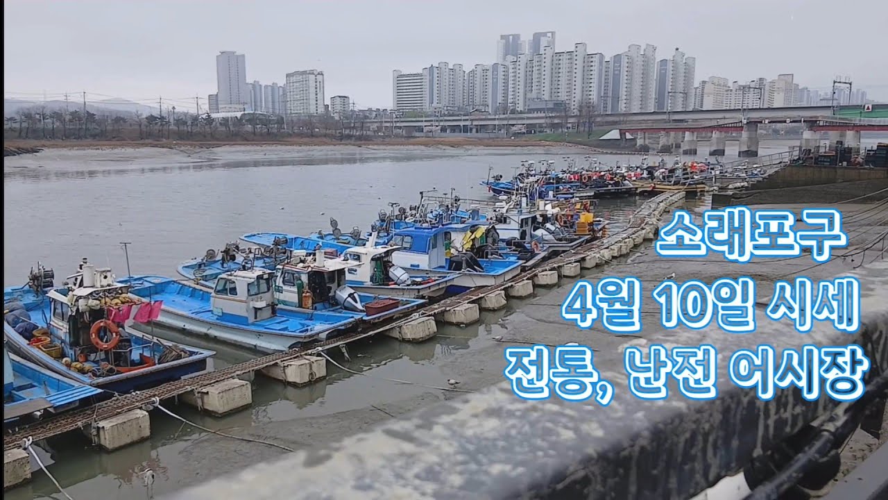 2026년 4월 10일 금요일 소래포구 어시장 시세입니다. 난전은 생새우 판매합니다. 내일과 모레는 물때 영향인지 생새우 없을거라네요. 4월 14일 날 이후를 기다려 봐야겠다네요.