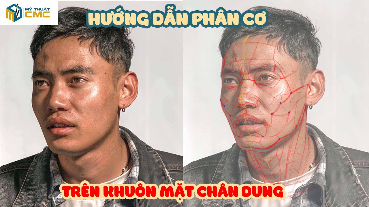 Hướng dẫn phân cơ trên khuôn mặt chân dung | Võ Tấn Thanh | CMC