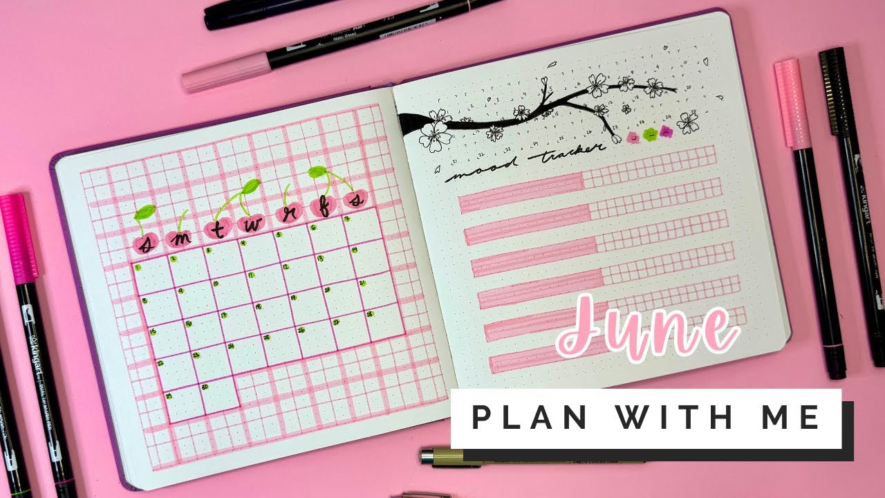 June 2025 Bullet Journal | Plan With Me