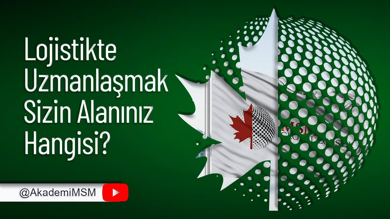 Lojistik Sektöründe Uzmanlık Alanları: Size Uygun Olanı Nasıl Belirlersiniz?
