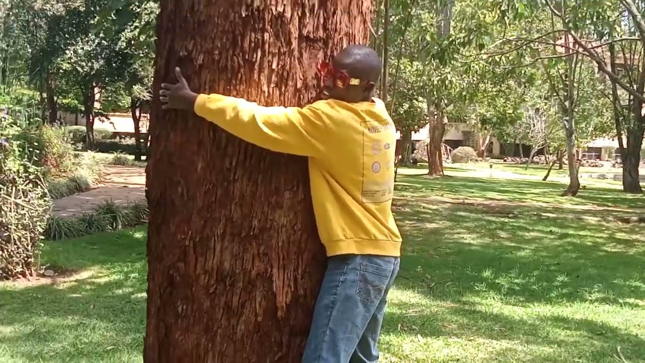 John mostig aanguka jini baada ya ku hag mti mzito kumushinda kwa muda wa 52hrs.