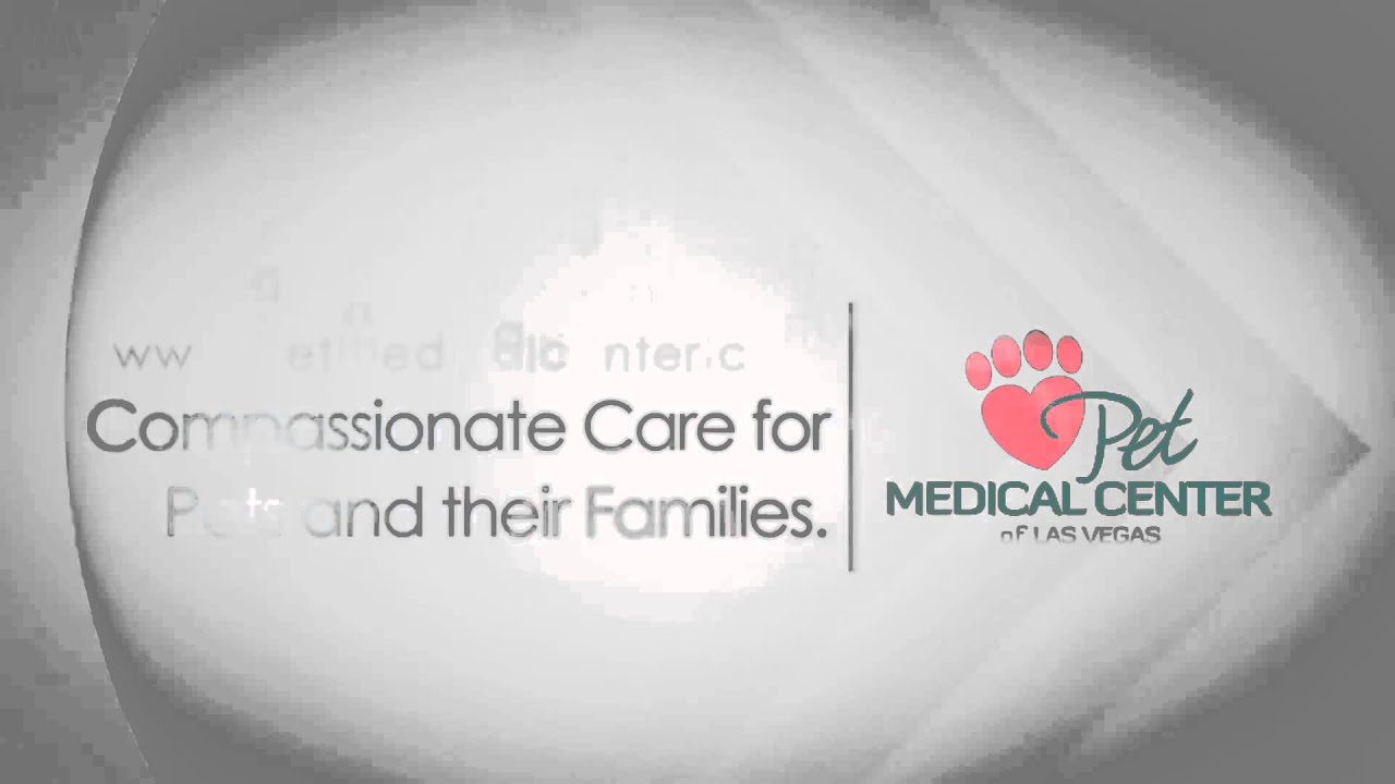 Pet Medical Center of Las Vegas - Veterinarian Video Intro