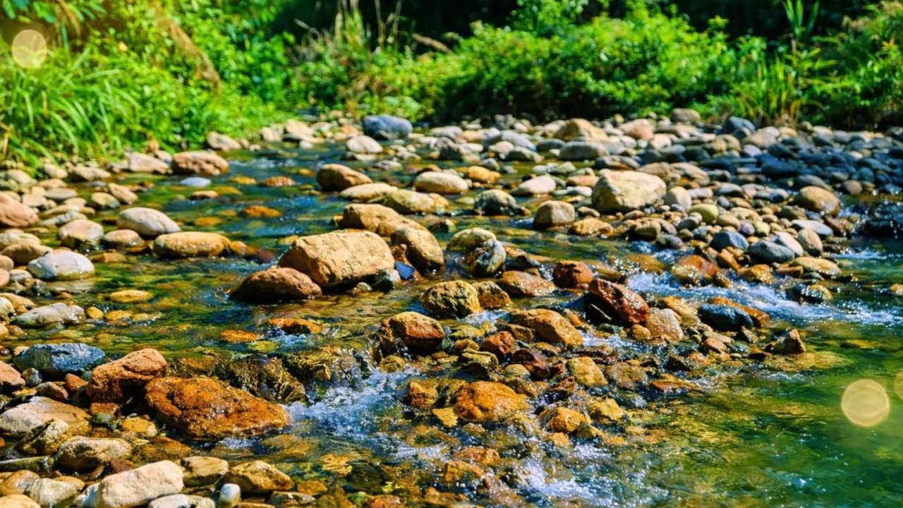 Deep Forest River Sounds for Sleep, Study & Meditation