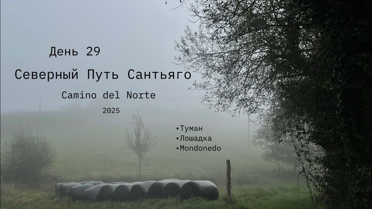 День 29. Путь Сантьяго, сентябрь 2025. Camino del Norte. 