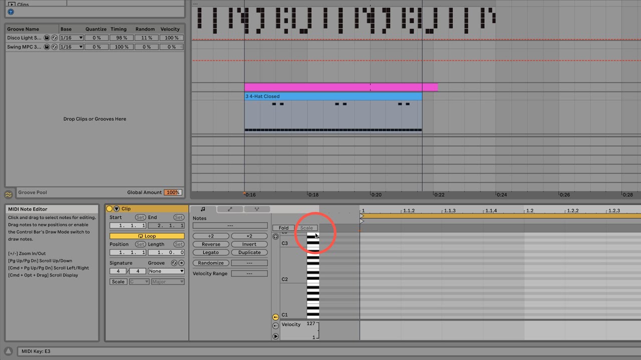 Ableton 11  Scale Button Greyed out? Do this