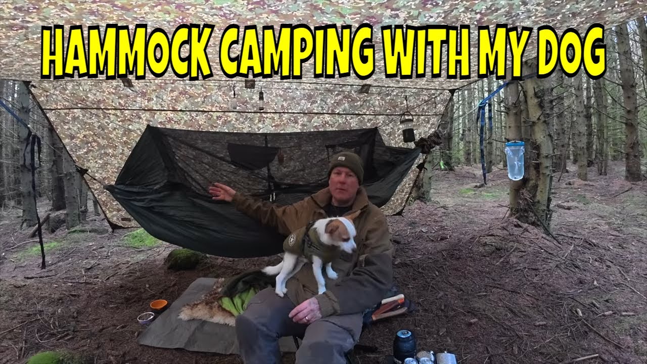 Hammock Camping With My Dog will he settle