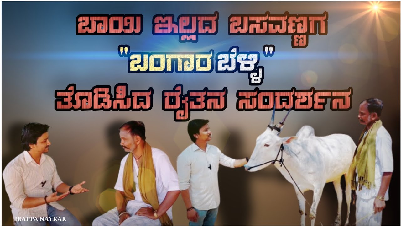 ಬಂಗಾರ-ಬೆಳ್ಳಿ ತೊಡಸಿದ ರೈತ| ಎತ್ತುಗಳಿಗೆ 21 ತೊಲೆ ಚಿನ್ನ| ಅರ್ಧ ಕೆಜಿ ಬೆಳ್ಳಿಯ ಕಡಗ| ತೊಡಸಿದ ರೈತ|