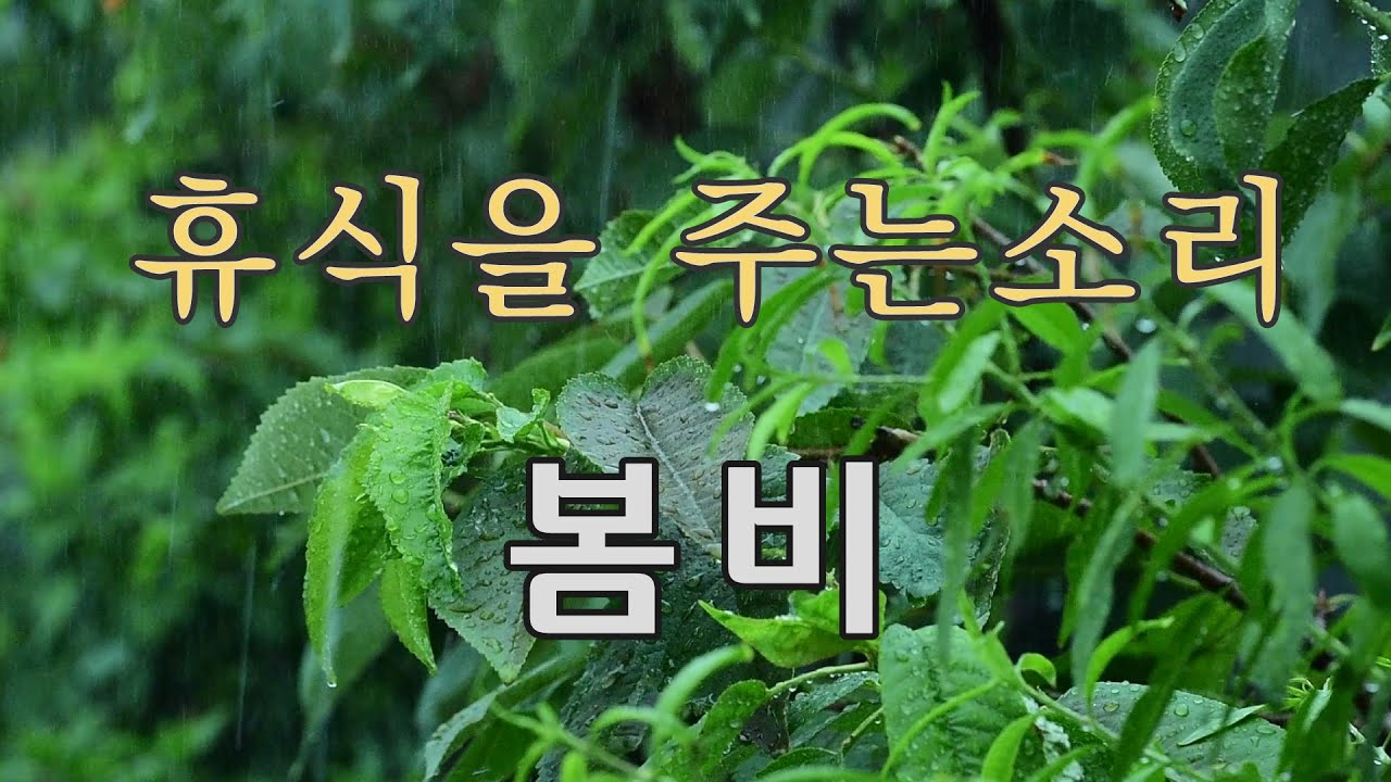 (빗소리, 7시간) 마음에 휴식을 주는 빗소리입니다. 봄비 내리는 날 촬영하였습니다.