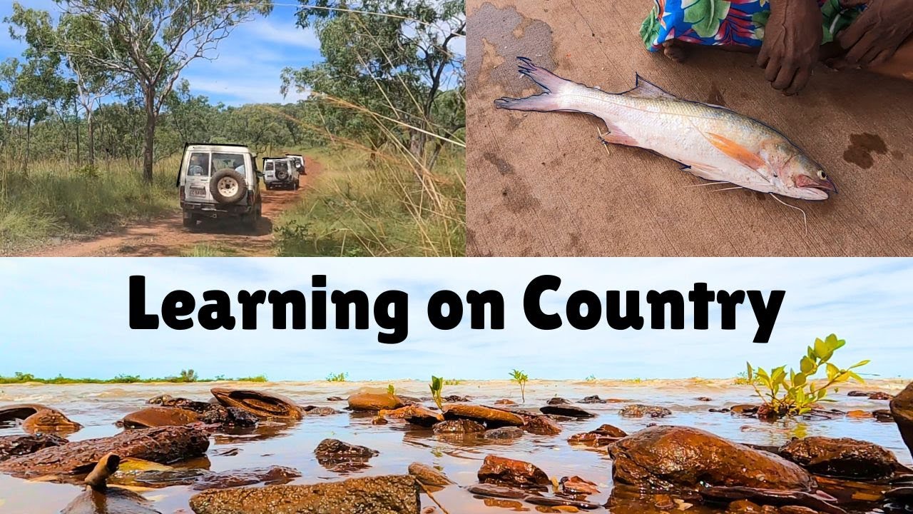A Look at a Day's Work for Tim - Learning on Country WADEYE