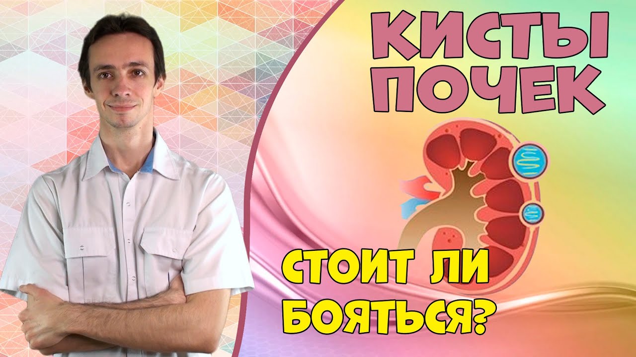 Кисты почек. Что это, какие бывают, что делать?