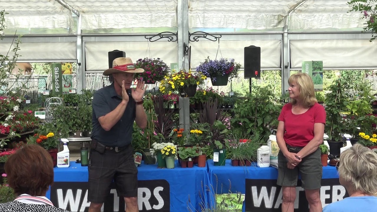 How to Succeed in Our Mountain Soil