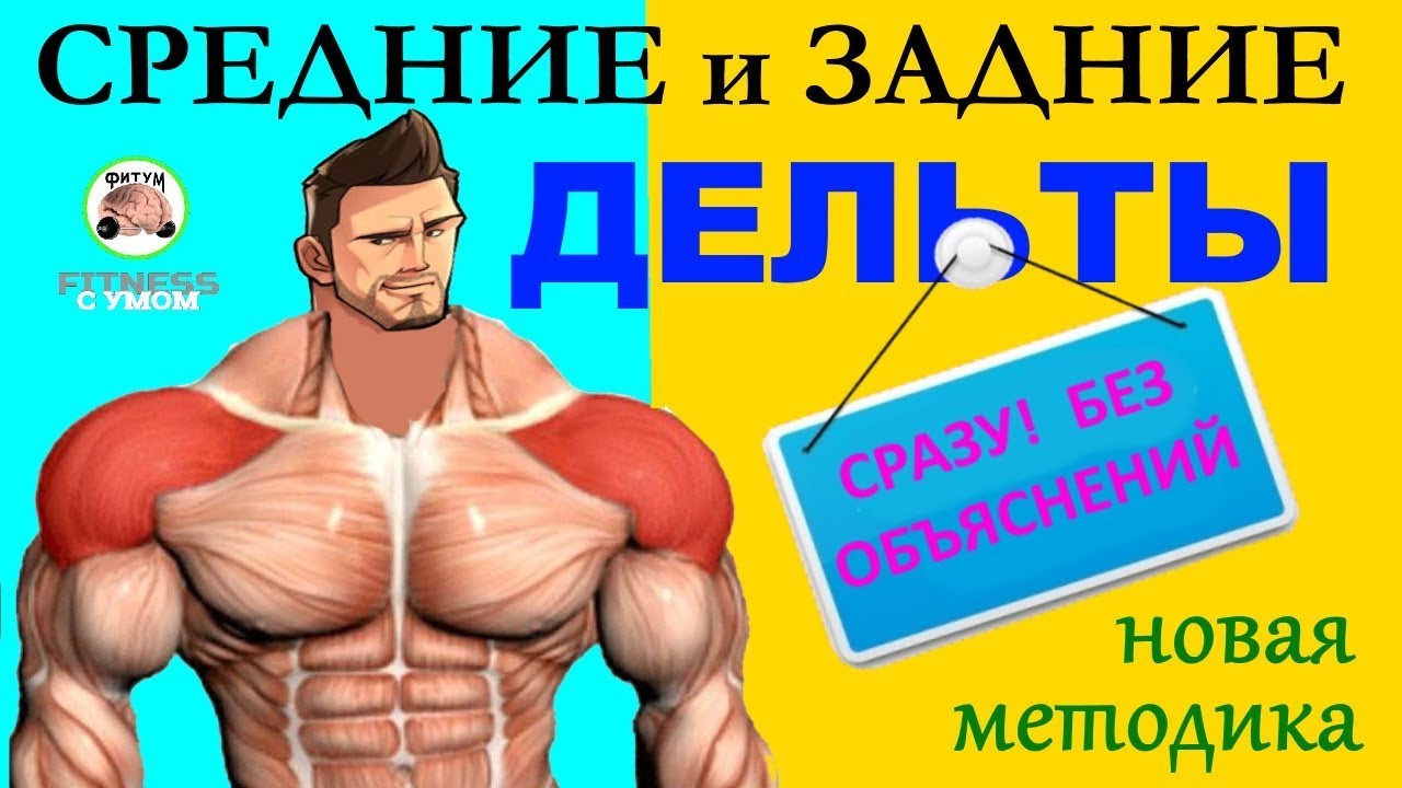 Средние и Задние Дельты - Сразу без объяснений новая методика