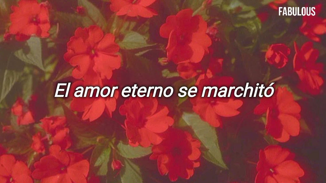TULI - Primavera ; [ Letra ]