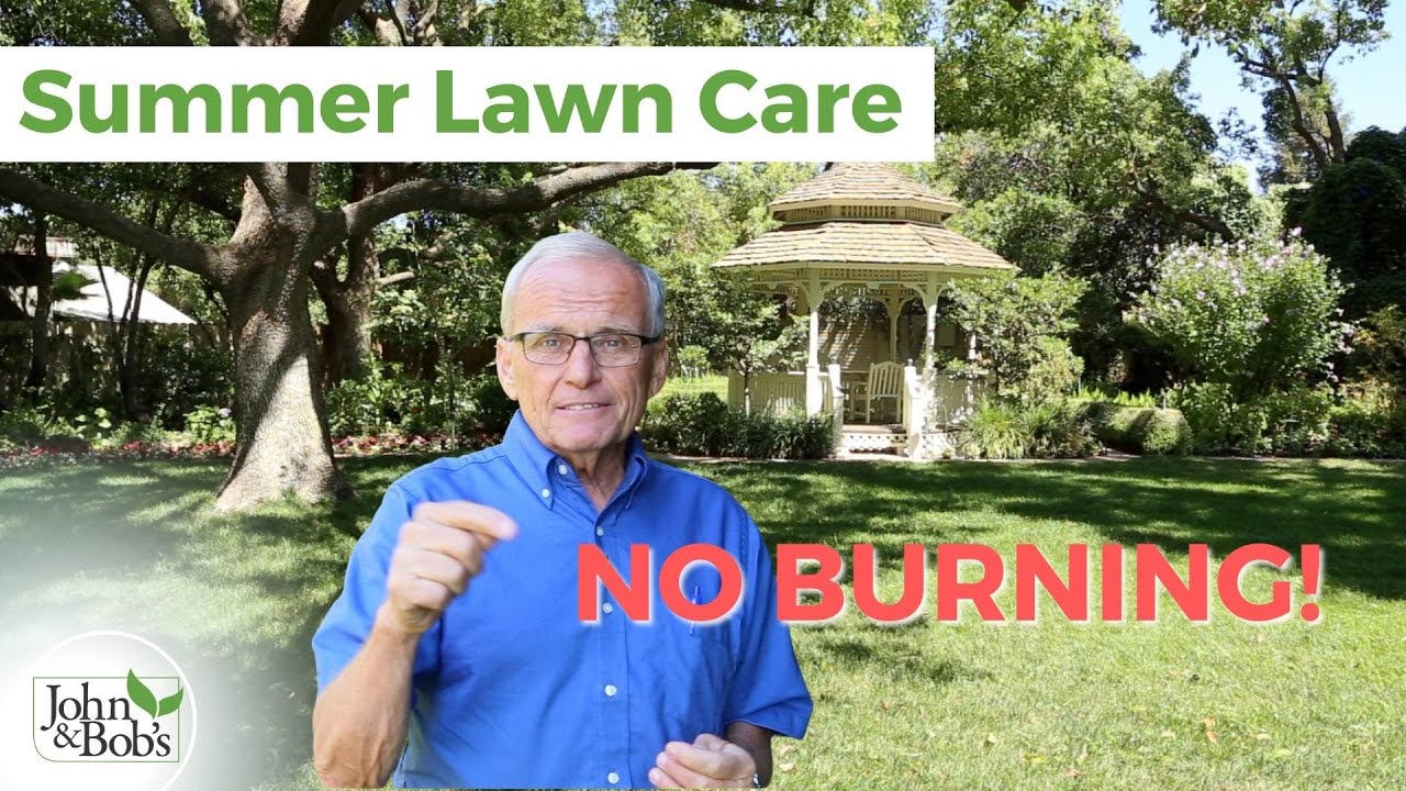 Summer Lawn Care | Green Summer Lawn Without Burning (100% Organic!)
