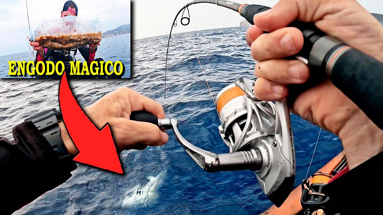 Hice ENGODO MAGICO y ¡¡PESQUE debajo de TODO EL PESCADO!! Pesca en kayak a NATURAL/RONSA