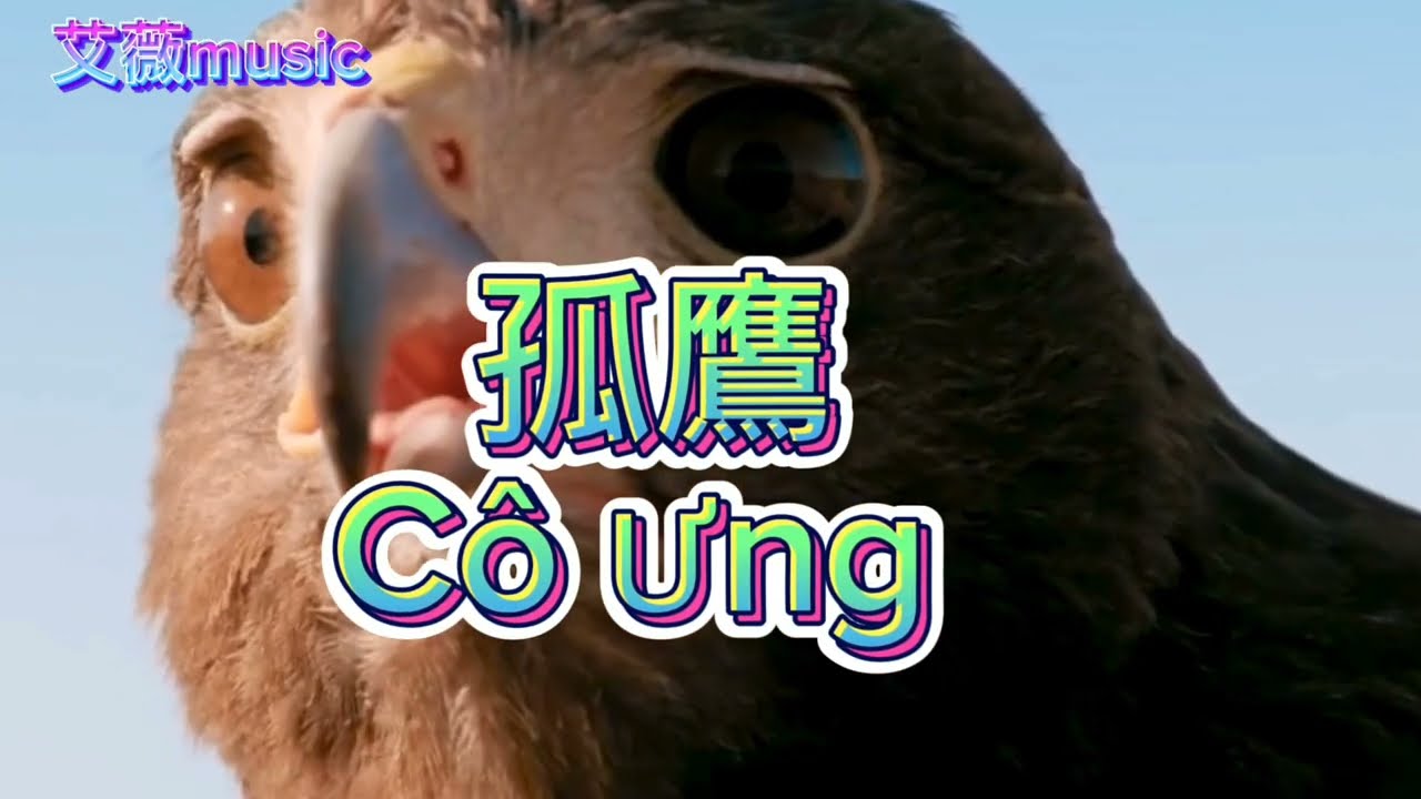 孤鷹（中文情歌）-Cô Ưng (nhạc hoa trữ tình hay)
