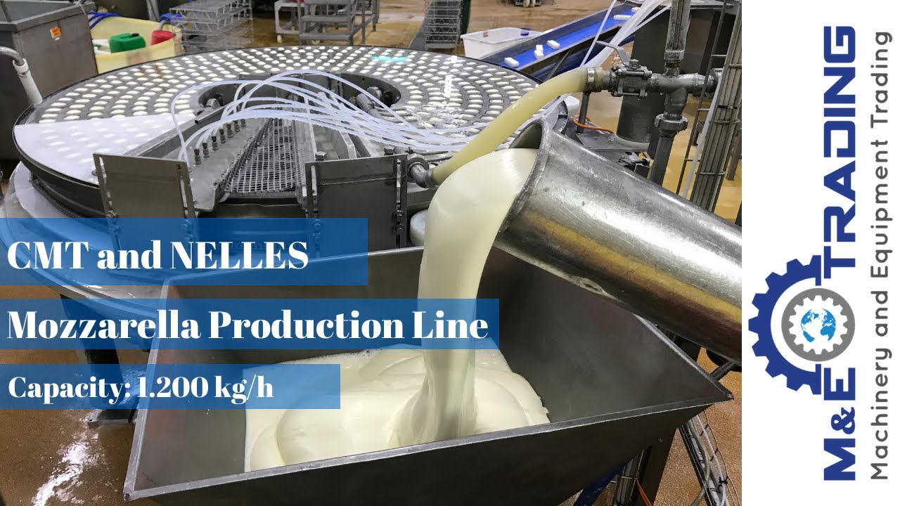 Used Mozzarella Production Line with CMT and NELLES Equipment