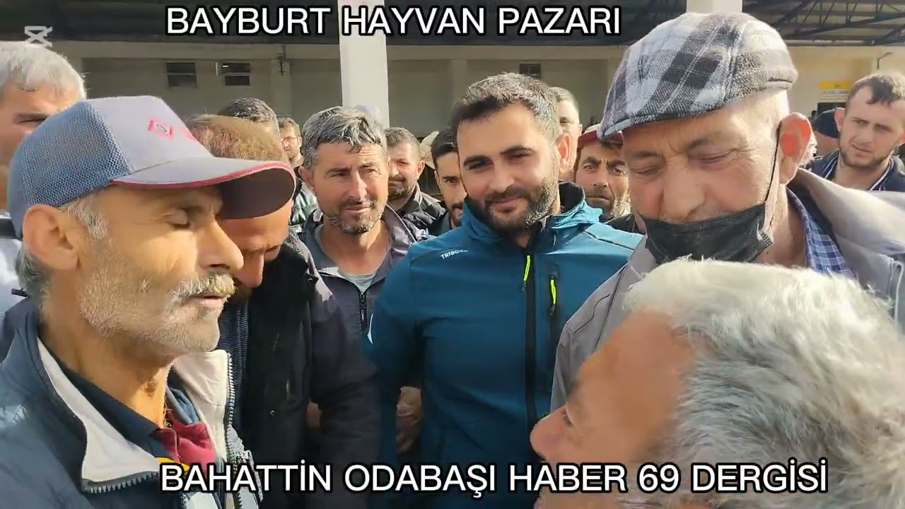 BAYBURT HAYVAN PAZARI