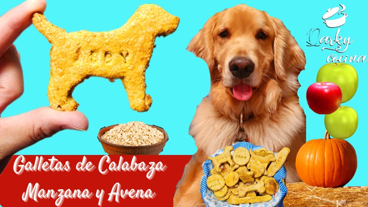 Cómo hacer Galletas de Avena y Calabaza para Perros #galletas #avena #cookies #recetas #calabaza