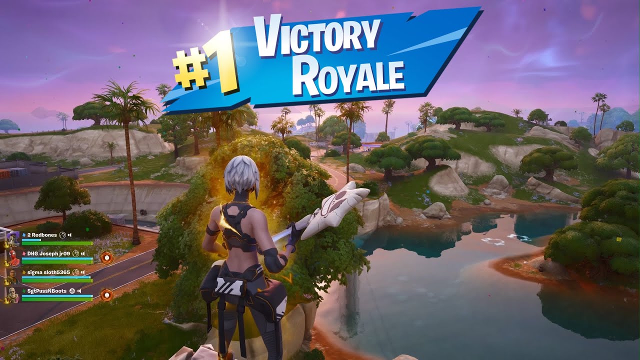 Fortnite Win Part 174