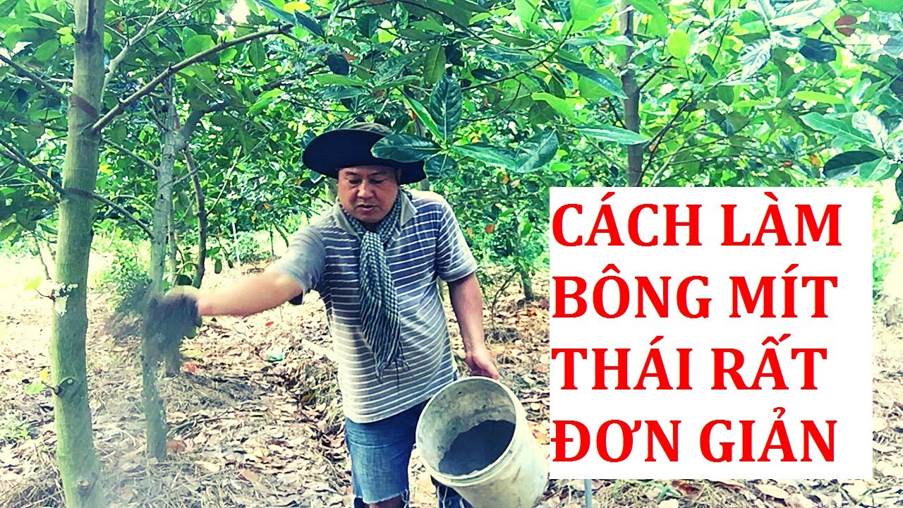 Cách Làm Bông Mít Thái Rất Đơn Giản