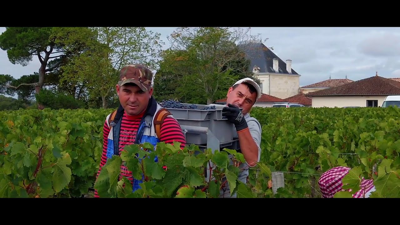 Château Tournefeuille | drone of visuals