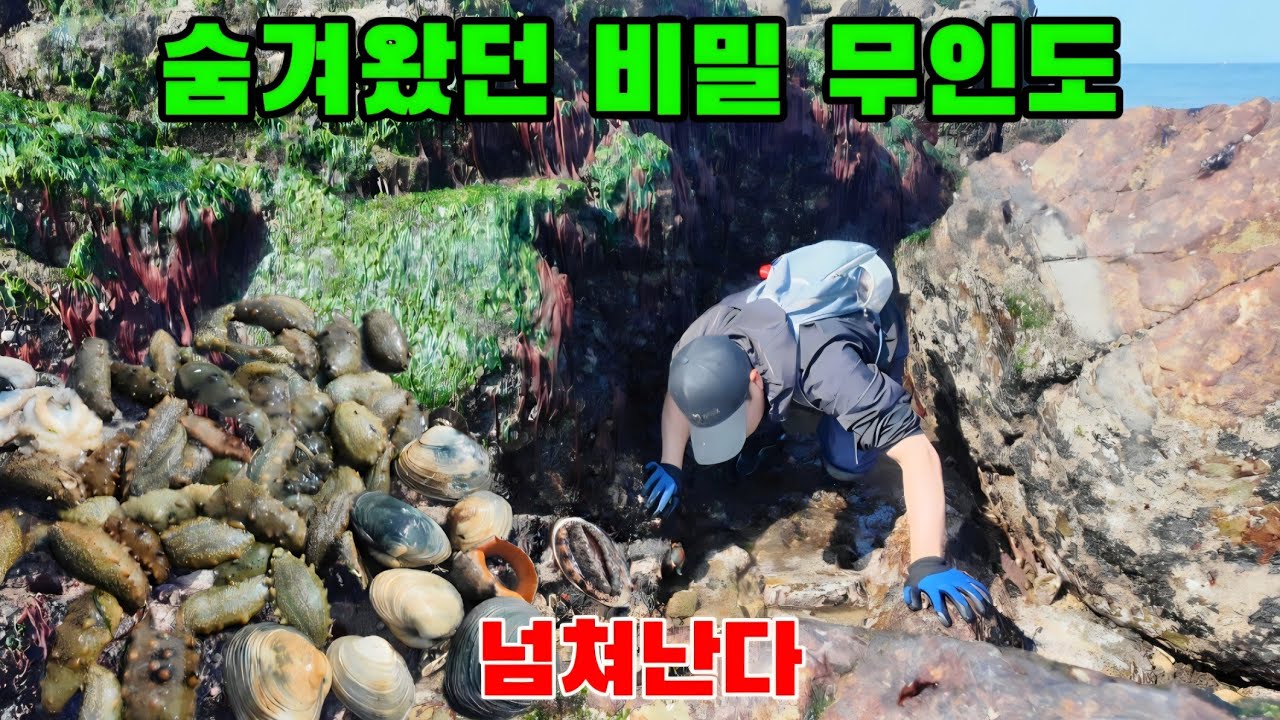 어쩌다 찾아간 오지 속 무인도에 고급 해산물이 쏟아졌다