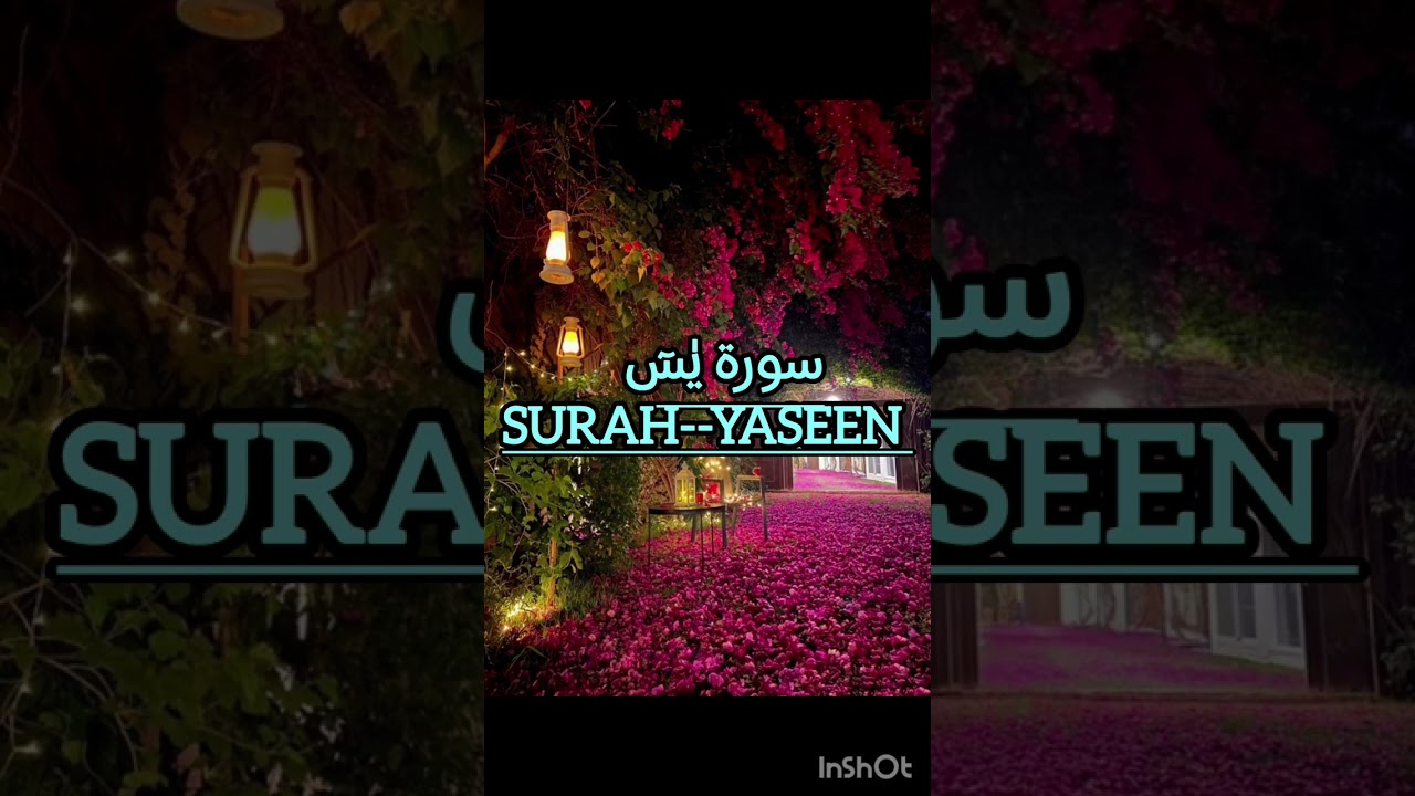 Surah Yaseen complete without ads || سورة يس قاري عبد الباسط عبد الصمد 