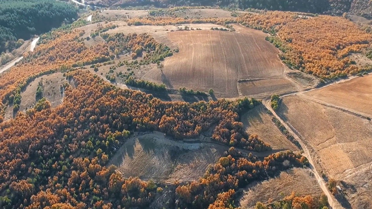 село Абланица