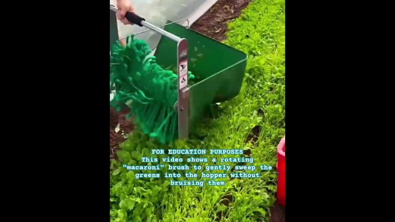 Quick-Cut Greens Harvester #MarketGardening #Farming #FarmTools #Harvest #FreshGreens #Agriculture