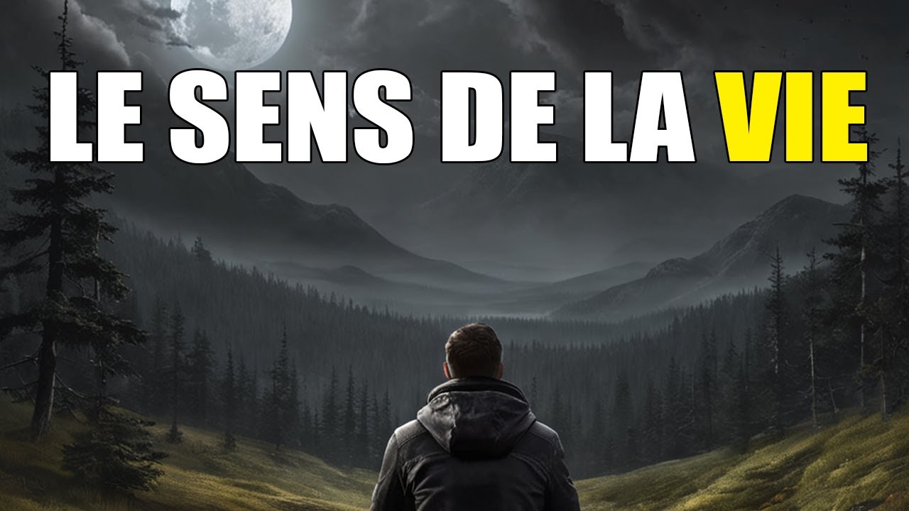 Pourquoi la vie n'a pas de sens ?