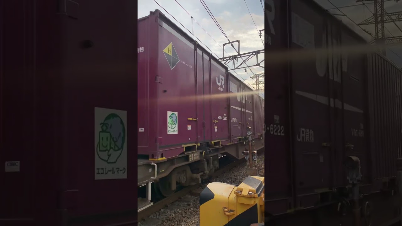 【貨物列車】EF66-100 サメ現る❗️ （Locomotive EF66-100 Shark appears）