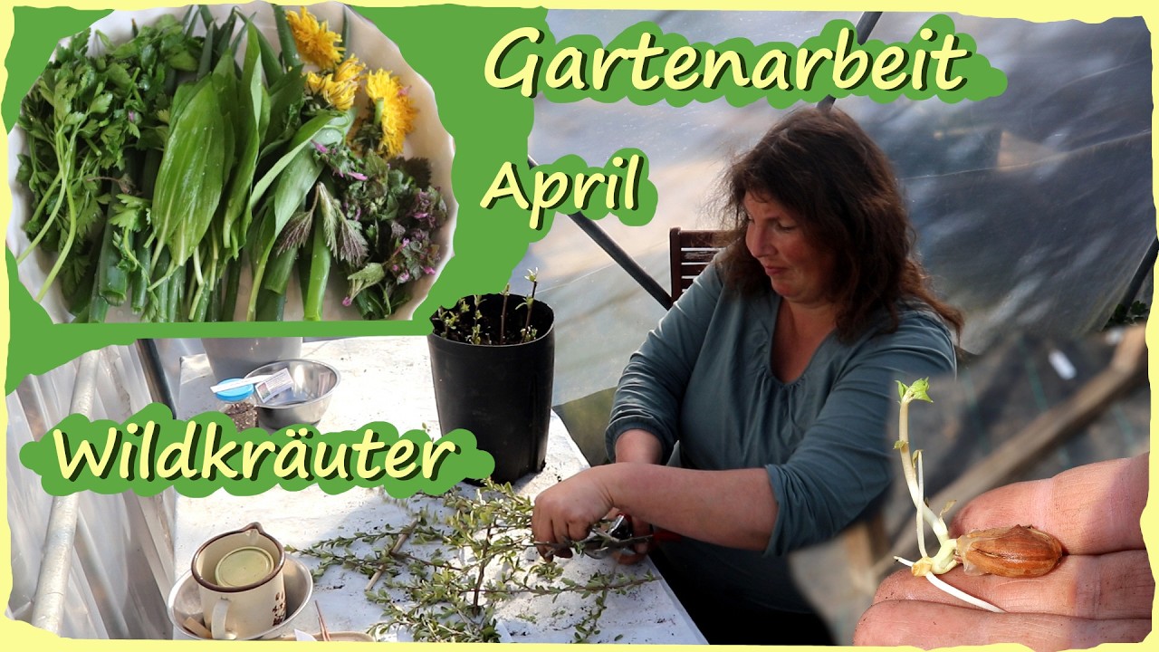 Gartenarbeit April - Rezept mit Wildkr&auml;utern - Gr&uuml;ne So&szlig;e mit Eiern